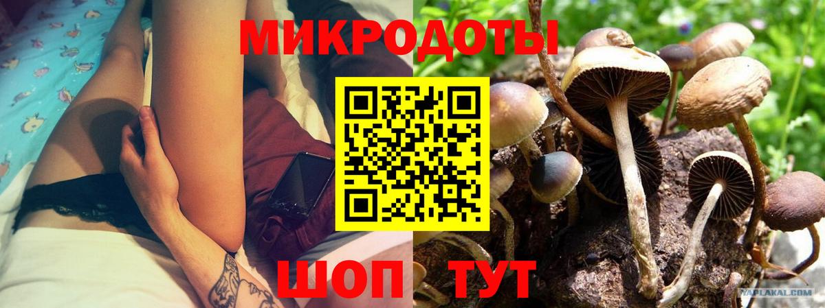 Псилоцибиновые грибы MAGIC MUSHROOMS  Вход с VPN  Галлюциногенные грибы Psilocybe  Артём 